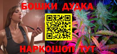 прущие грибы Краснодар