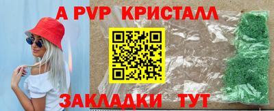 прущие грибы Краснодар