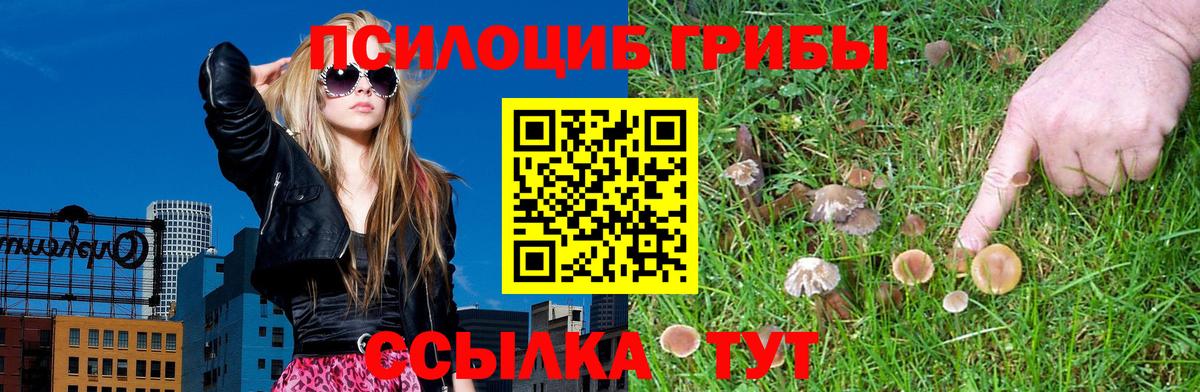 Галлюциногенные грибы ЛСД Чистополь